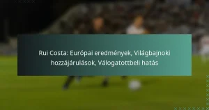 Rui Costa: Európai eredmények, Világbajnoki hozzájárulások, Válogatottbeli hatás