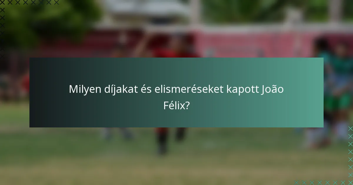 Milyen díjakat és elismeréseket kapott João Félix?